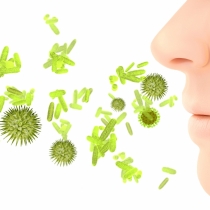 アレルギー性鼻炎の原因と治療方法